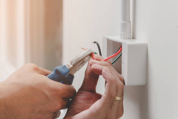 Best Electrical Panel Upgrades  in New Athens, IL